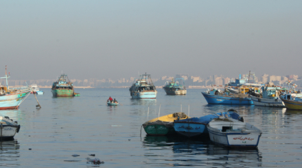 Smells-Like-Alexandria-Photo